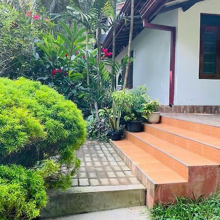 Chami'S Home Stay Mirissa Dış mekan fotoğraf