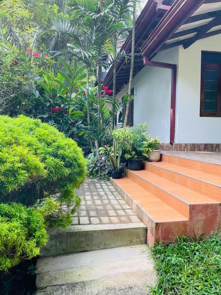 Chami'S Home Stay Mirissa Dış mekan fotoğraf