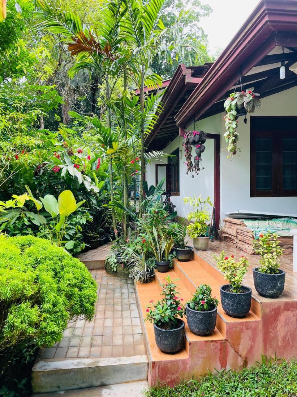 Chami'S Home Stay Mirissa Dış mekan fotoğraf